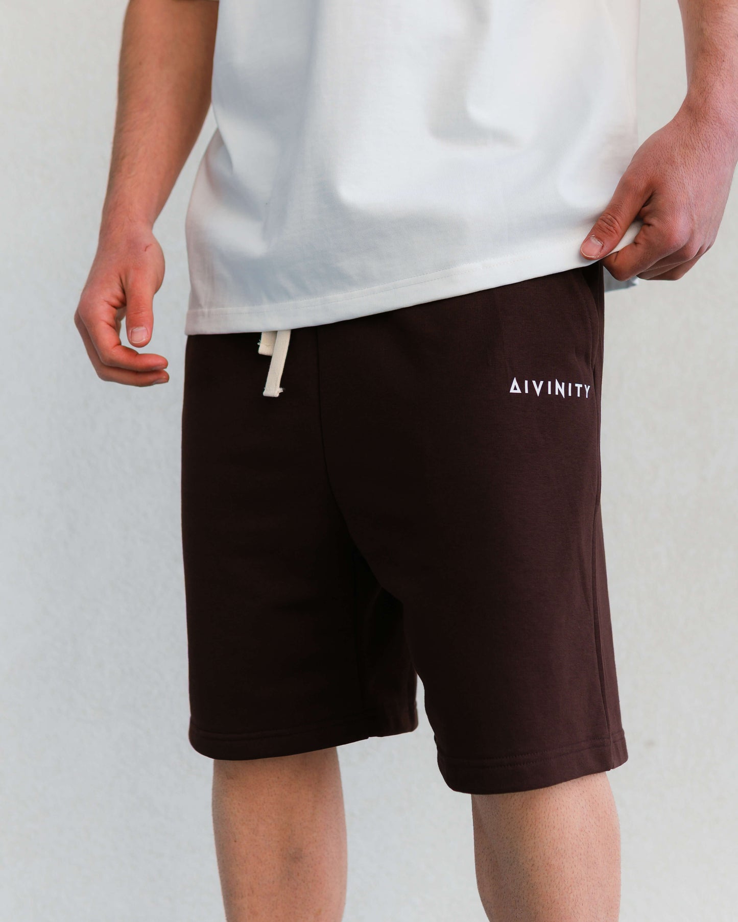 Classic Shorts Brown